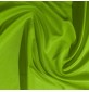 Lycra Fabric Fluo Green 3
