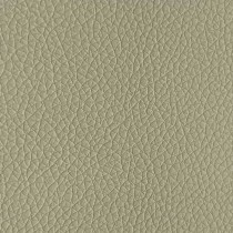 Leatherette New  Cream 3
