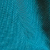 Cotton Canvas Turquoise2