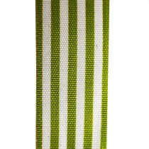 Printed Satin Ribbon Lime and White 2