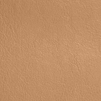 Clearance Shiny Leatherette 5