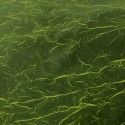 Polyester Green Fleck Fabric
