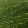 Plyester Green Fleck Fabric