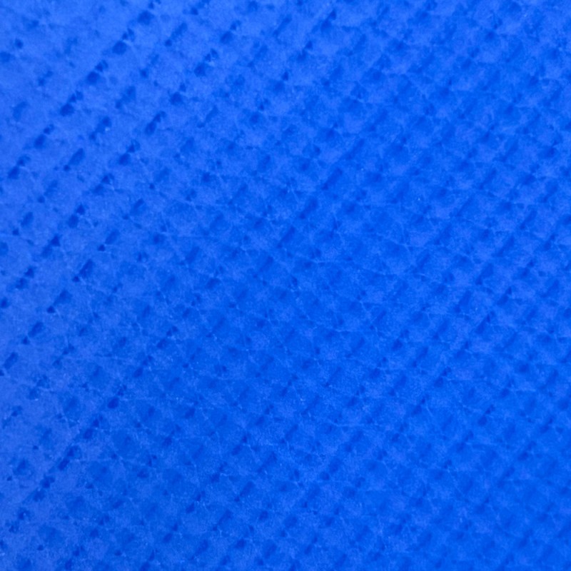 Fire Resistant Ripstop Polyester Canvas Royal2