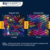 Large Rainbow Fishscale Foil