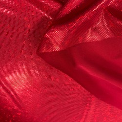 Clearance Hologram Stretch Jersey Fabric