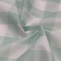 Gingham – 1 inch Checks Mint