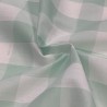 Gingham – 1 inch Checks Mint