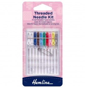 Threaded Needle Kit 10 Threaded Needles