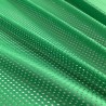 Airtech Mesh Fabric Leaf Green 5