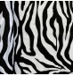 Animal Print Fur Fabric Zebra 3