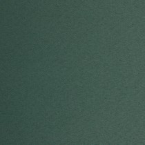 Venus Blackout Petrol