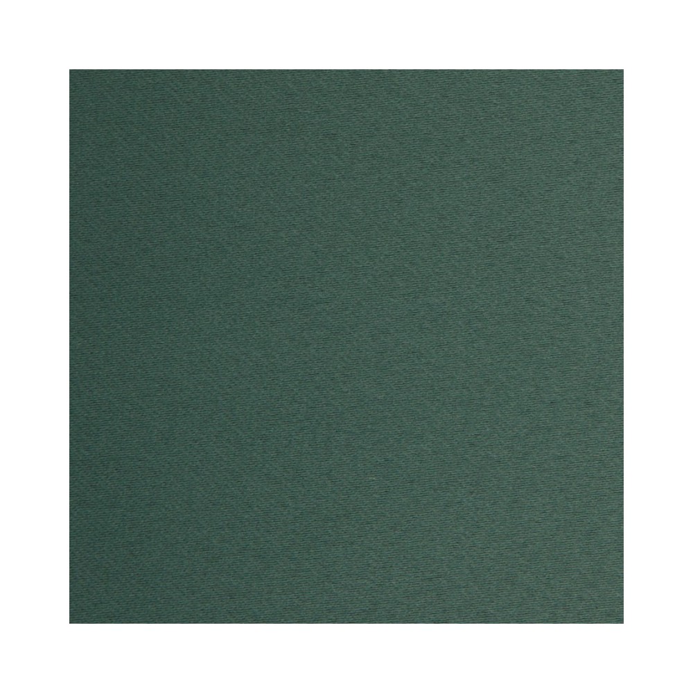 Venus Blackout Petrol