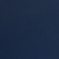 Venus Blackout Twilight