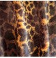 Leopard Skin Fleece To Clear 3