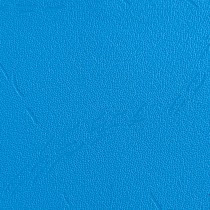 Tarpaulin 610 GSM Sky 1