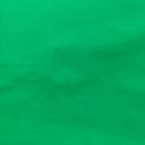 Clearance Waterproof Dry Wax Fabric Green 2