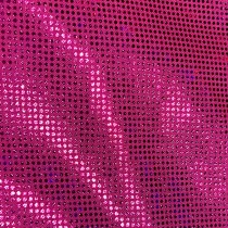 Hologram Dot Foil 175gsm Ceris 4