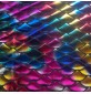 Rainbow Fishscale Foil Large 2