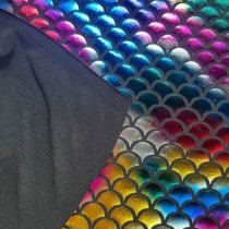 Rainbow Fishscale Foil Small 6