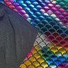 Rainbow Fishscale Foil Small 6