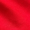 Brushed Tricot Fabric Red2