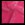 Gloss Pink