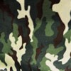 Green Camo8154