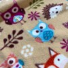Owls, hedgehogs, foxes8154
