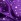 Purple 003