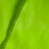 Flo Green8266