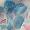 Blue Floral8301