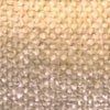 Wheat8071