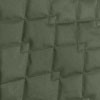 Olive8079